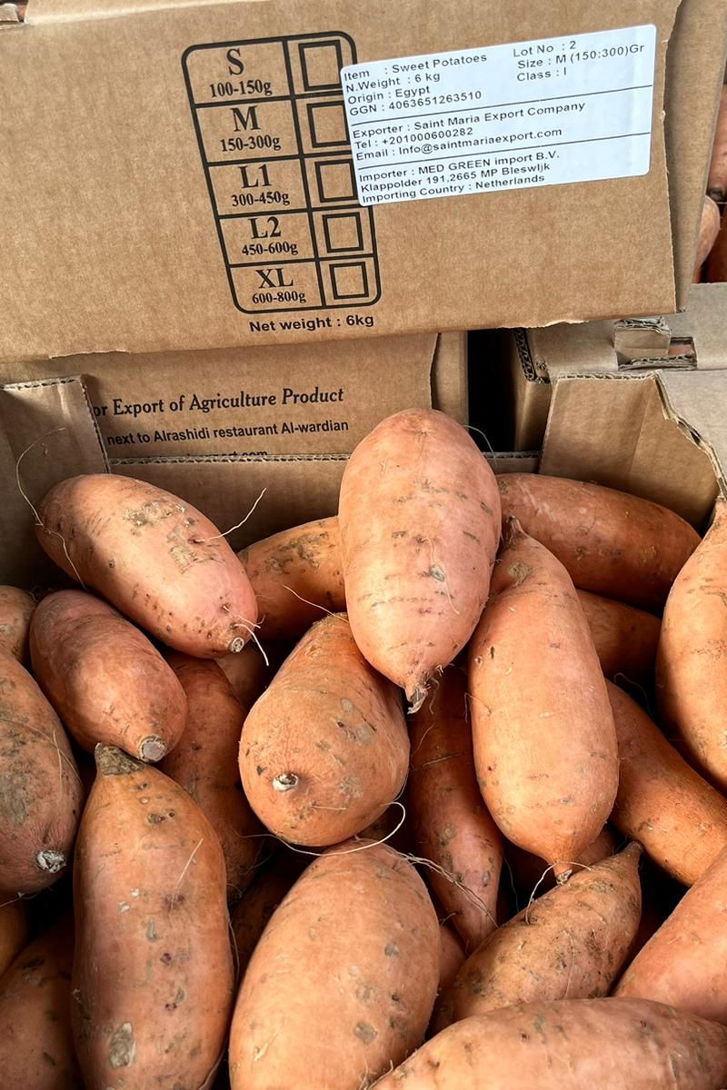 POTATO SWEET EGYPT BOX x6kg - Jackie Leonards