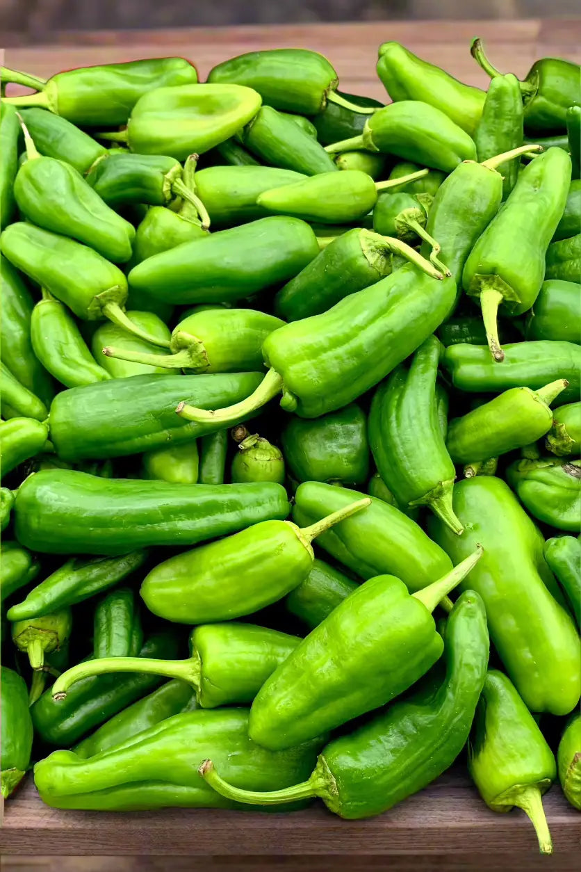 Chilli Padron Box 2kg