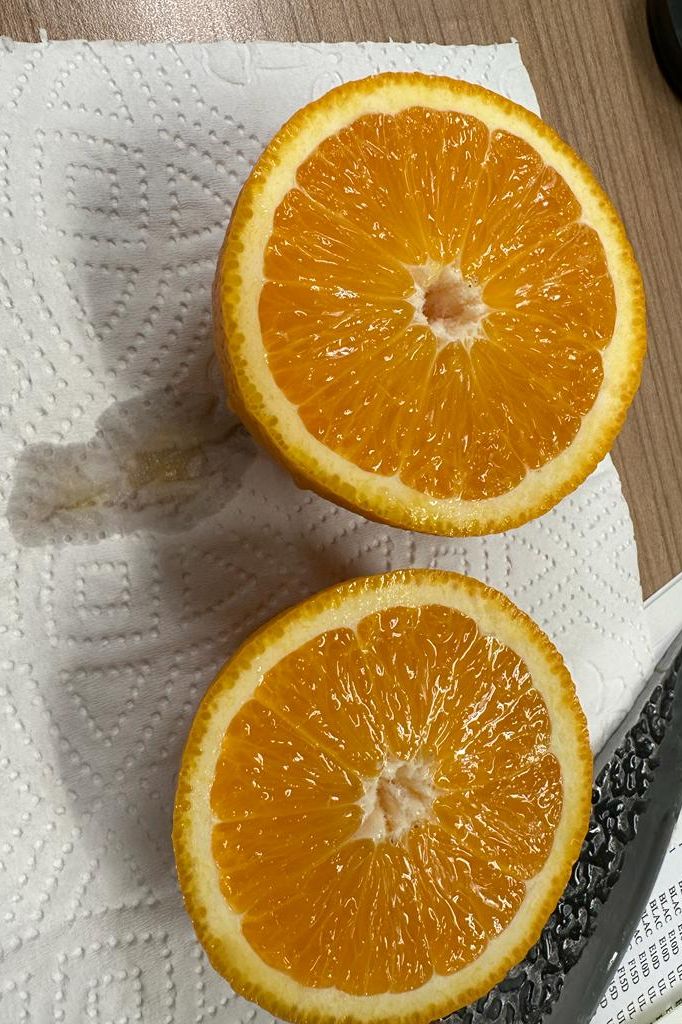 ORANGE LARGE (15Kg) BOX - Jackie Leonards