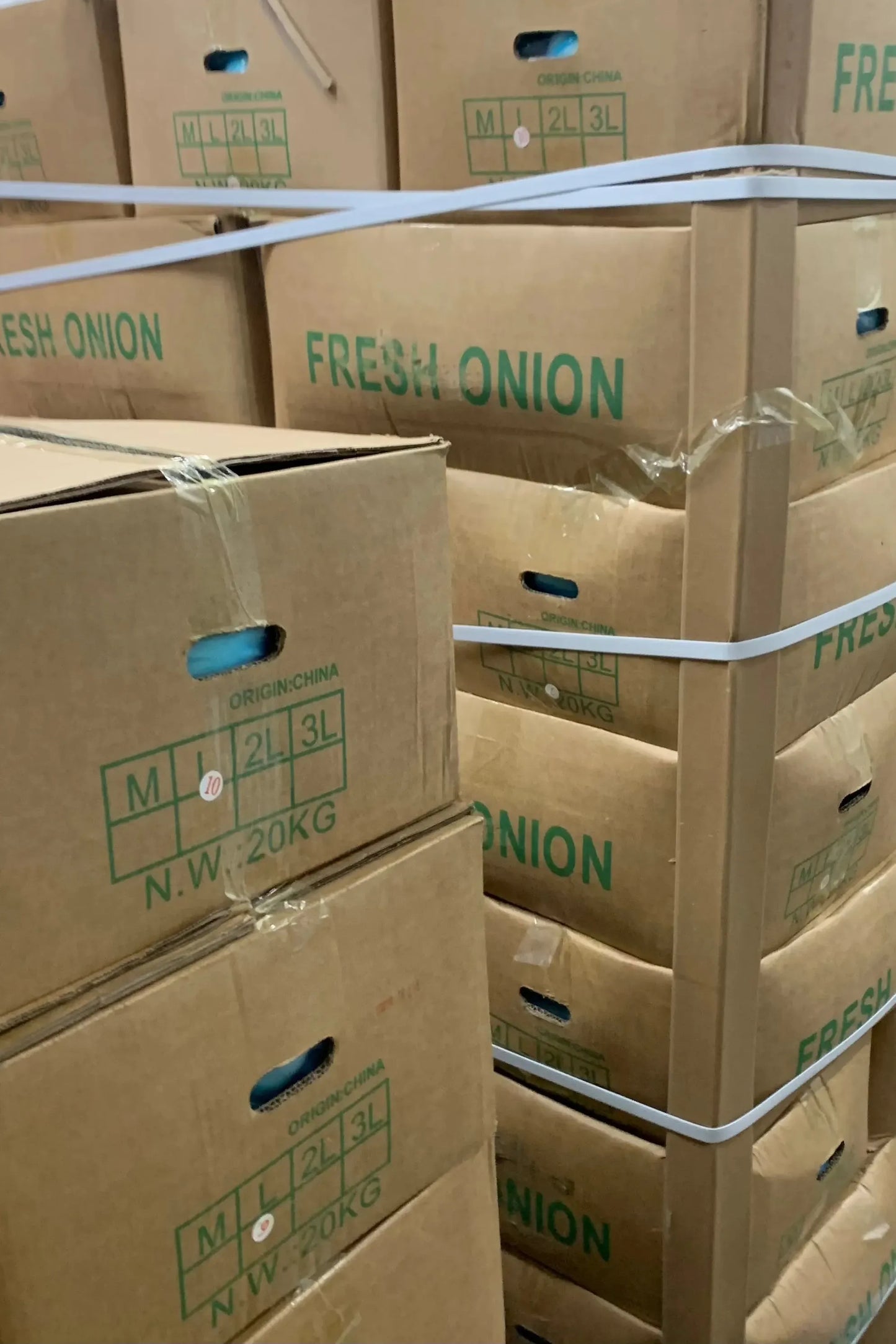 Onion Peeled x20kg Case - Jackie Leonards
