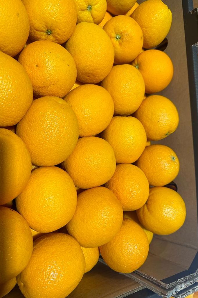 ORANGE LARGE (15Kg) BOX - Jackie Leonards