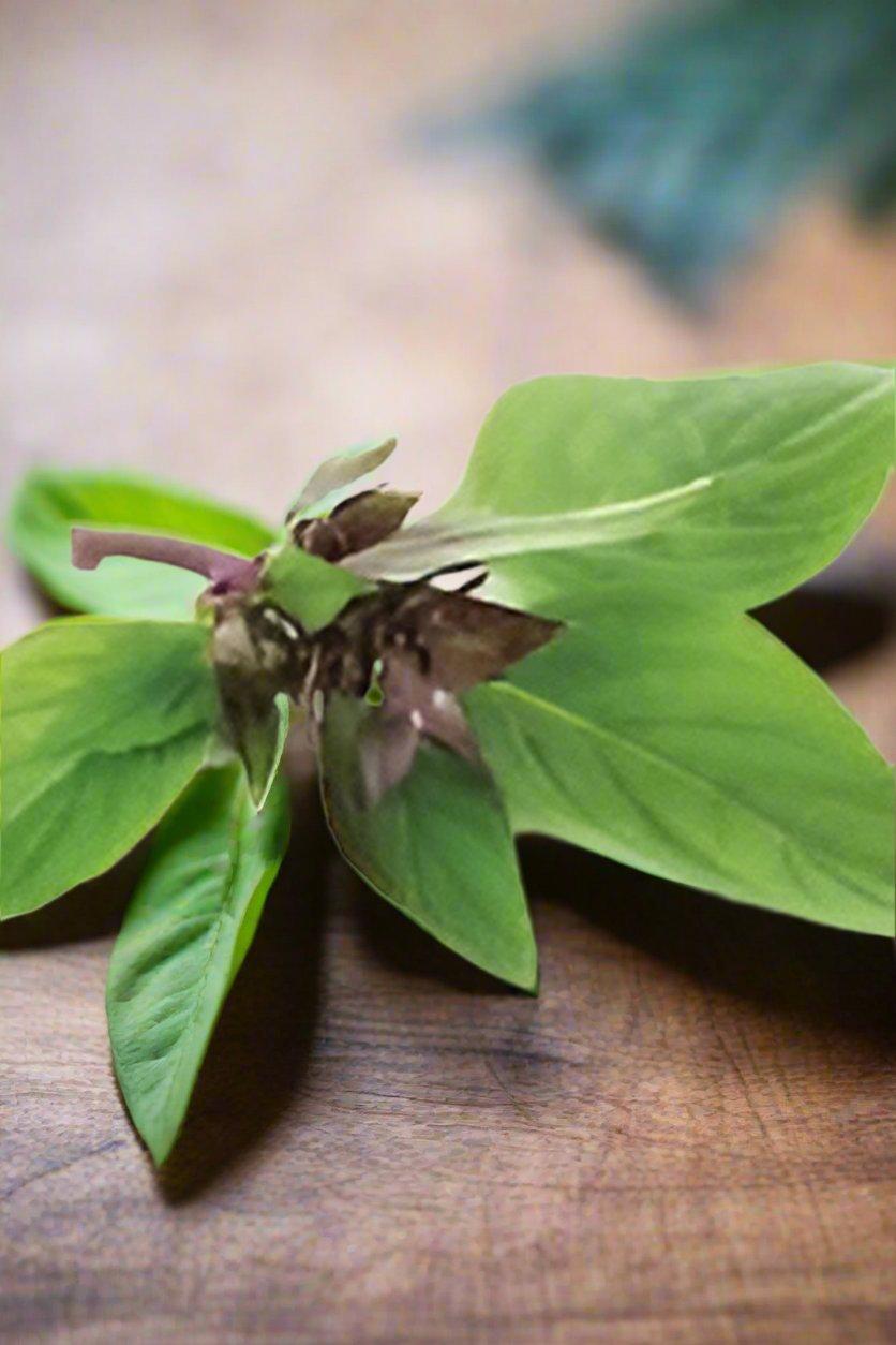 Basil Thai Kilo