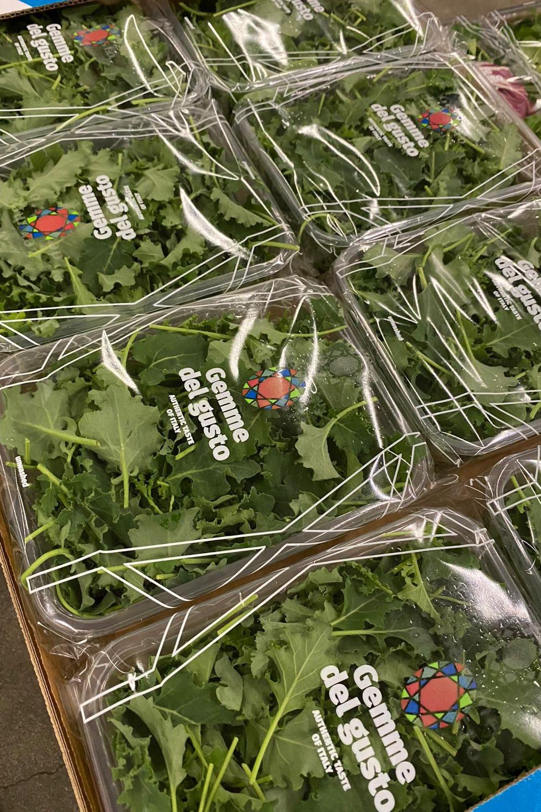 Baby Rocket Leaves Packet x125Grams - Jackie Leonards