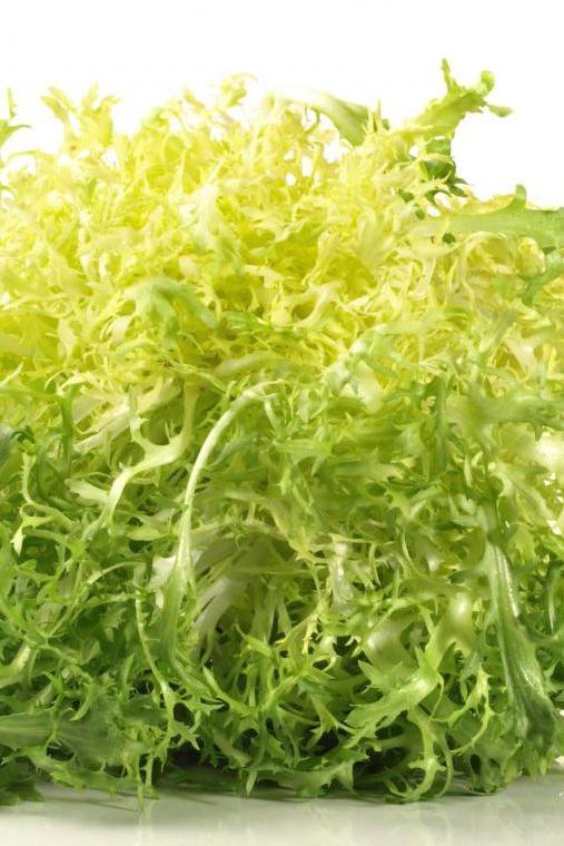 LETTUCE FRISSE (ENDIVE) - Jackie Leonards