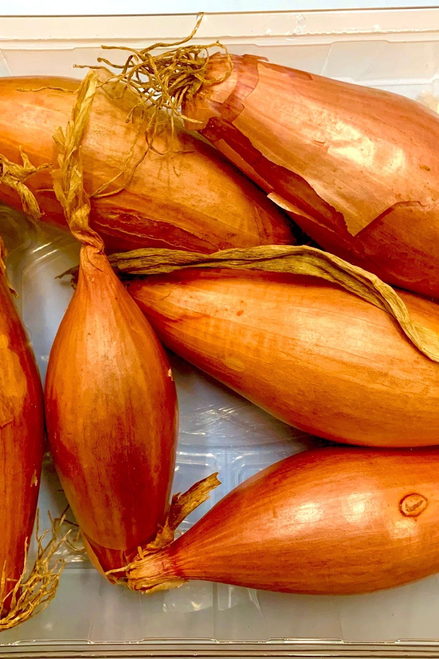 Banana Shallot Packet - Jackie Leonards