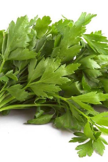 PARSLEY FLAT PACKET (x100grm) - Jackie Leonards