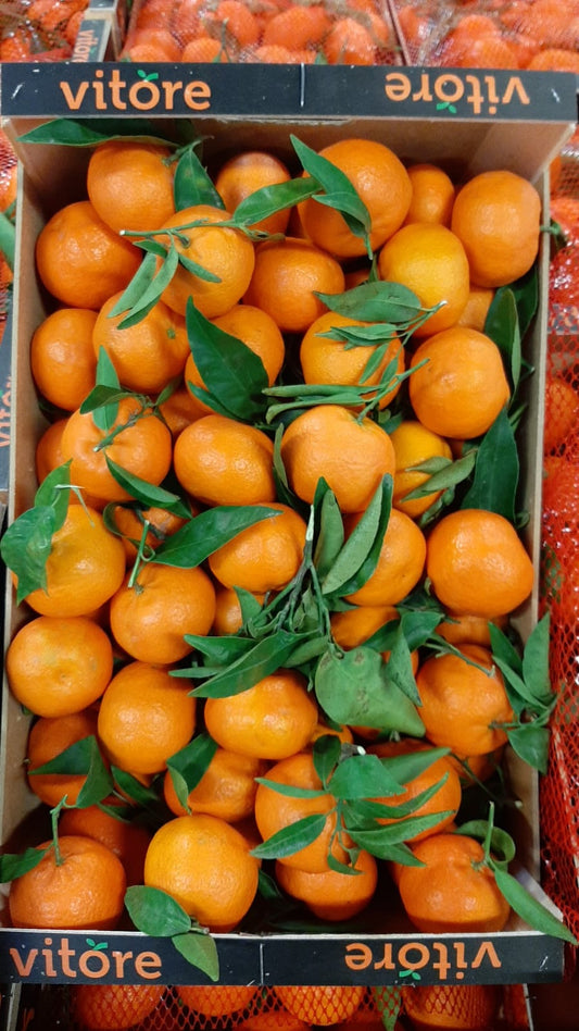 Marmalade Oranges