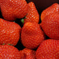 Strawberries (8x500grm) Box - Jackie Leonards