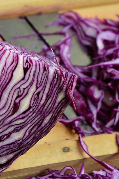 Cabbage Red Shredded [x5kg] Bag