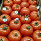 Tomato Beef [x7Kg] Case