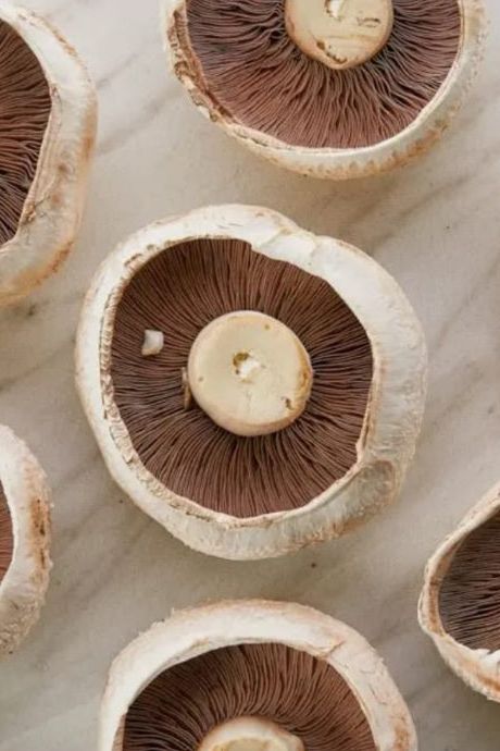Mushroom Flat Cap Chip - Jackie Leonards