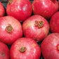 Pomegranate [x4Kg] Box - Jackie Leonards