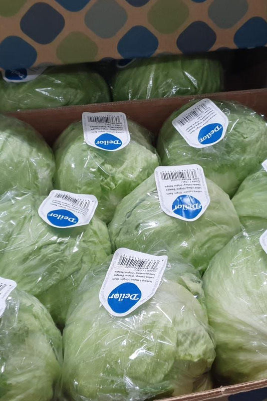 Lettuce Iceberg Box - Jackie Leonards