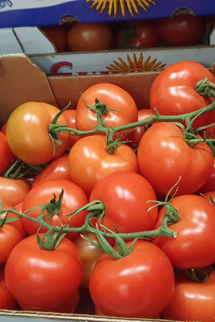 Tomato Vine (x5Kg) Box - Jackie Leonards