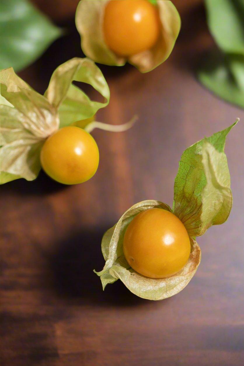 Physalis [Chinese Lanterns] Box