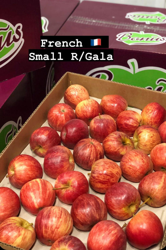 Apples Gala Small Red [18Kg x163] BOX