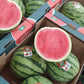 Melon water (x6) Box - Jackie Leonards