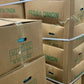Onion Peeled x20kg Case - Jackie Leonards