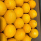 ORANGE LARGE (15Kg) BOX - Jackie Leonards