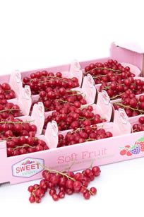 RED CURRANT [12x125grm] BOX