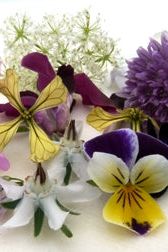 EDIBLE FLOWERS - Jackie Leonards