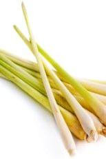 LEMONGRASS BUNCH - Jackie Leonards