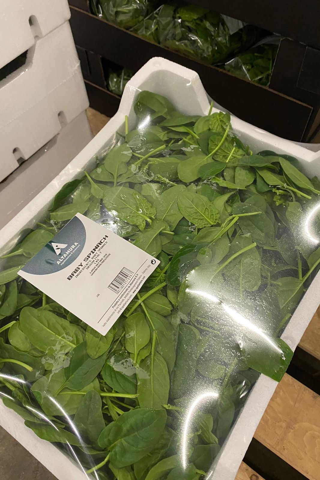 Baby Spinach Leaves Packet x100Grams - Jackie Leonards