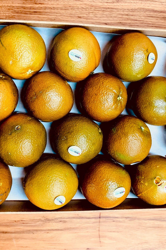 Oranges Chocolate Tray - Jackie Leonards