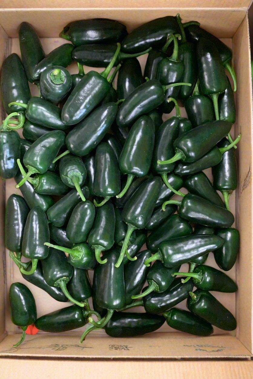 Chillies Jalapeño green-Black Bullet x2kg Box - Jackie Leonards