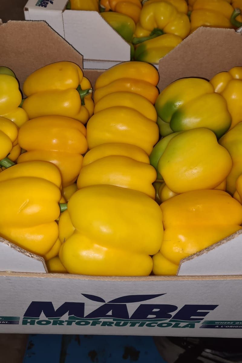 Pepper Yellow Bell Capsicum x5kg Box - Jackie Leonards