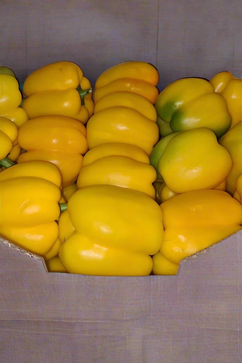 Pepper Yellow Bell Capsicum x5kg Box - Jackie Leonards