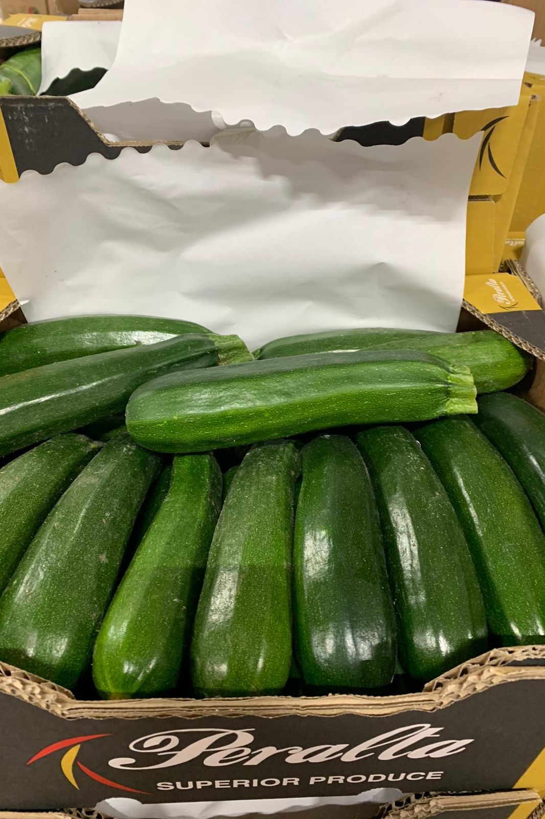 Courgette green x5kg Box - Jackie Leonards