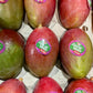 Mango Ready to Eat Box - Jackie Leonards