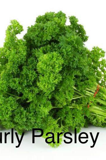 Curly Parsley Kilo Bag - Jackie Leonards