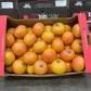 Grapefruit Red Box - Jackie Leonards