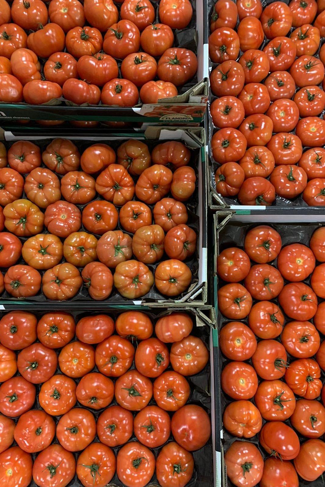 Tomato Beef Case - Jackie Leonards