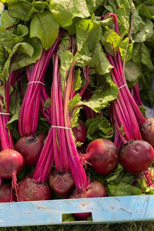 Bunch Beetroot Box - Jackie Leonards