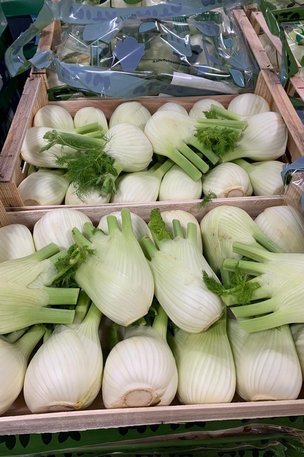 Fennel Bulb Box - Jackie Leonards