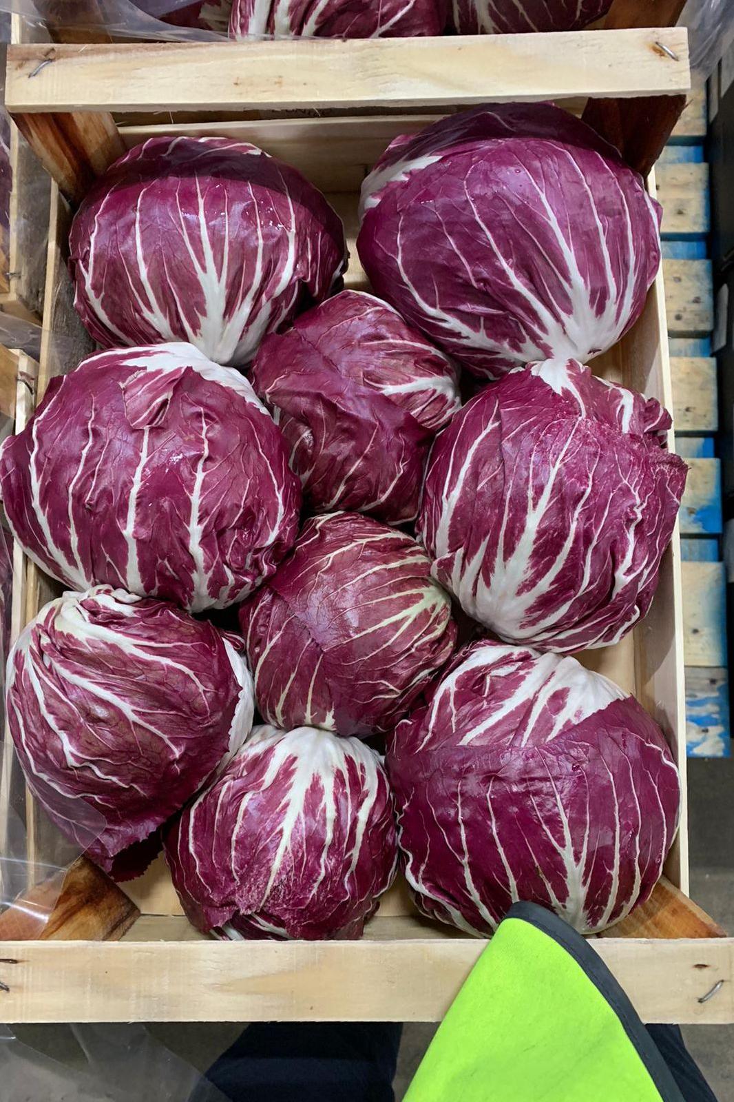 Lettuce Radicchio Box - Jackie Leonards