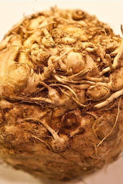 Celeriac Whole Fresh  x10kg Bag - Jackie Leonards