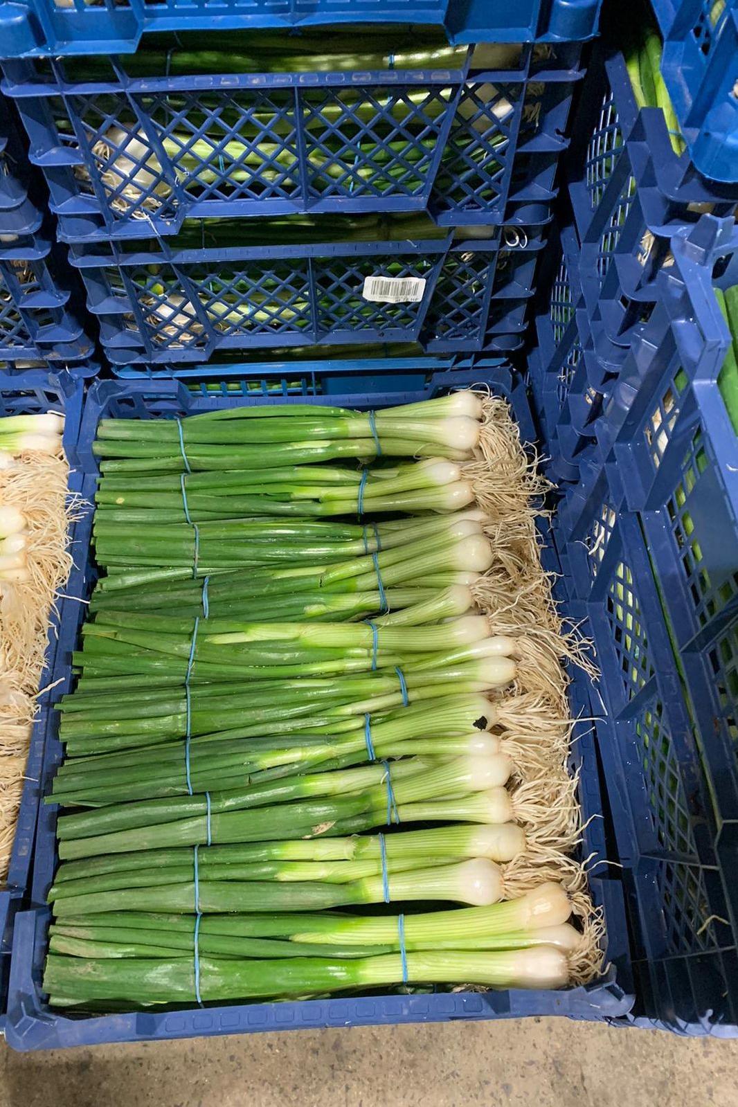 Scallions Spring Onions Bag x12 - Jackie Leonards