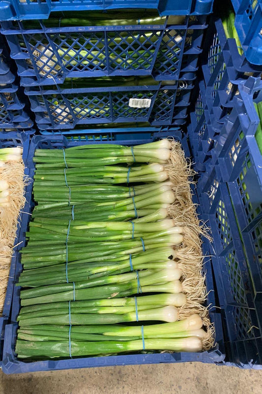 Scallions Spring Onions Bag x12 - Jackie Leonards