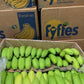 Banana Box - Jackie Leonards