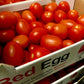 TOMATO PLUM LOOSE ''Red Egg'' (x6kg) BOX - Jackie Leonards