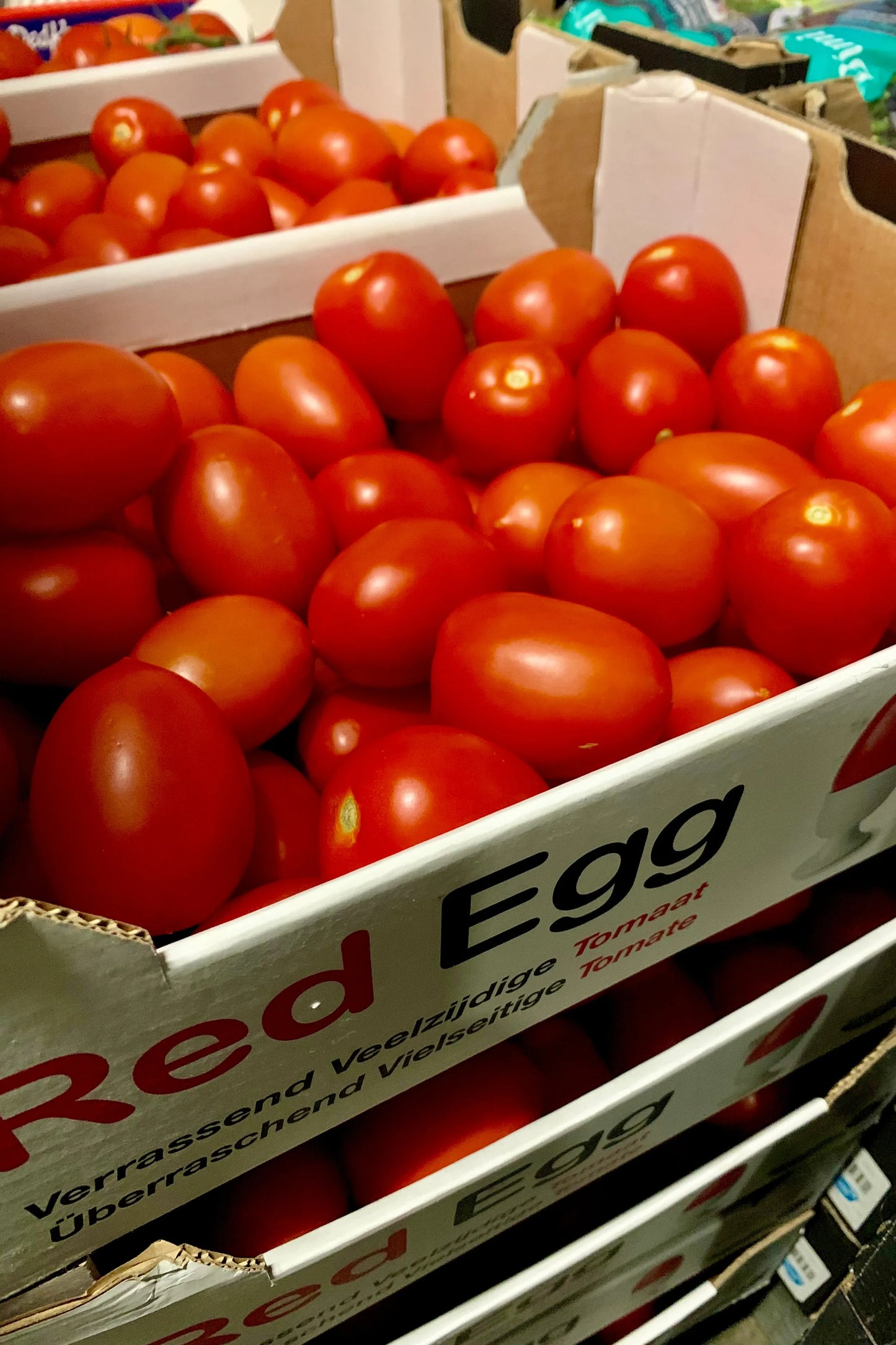 TOMATO PLUM LOOSE ''Red Egg'' (x6kg) BOX - Jackie Leonards