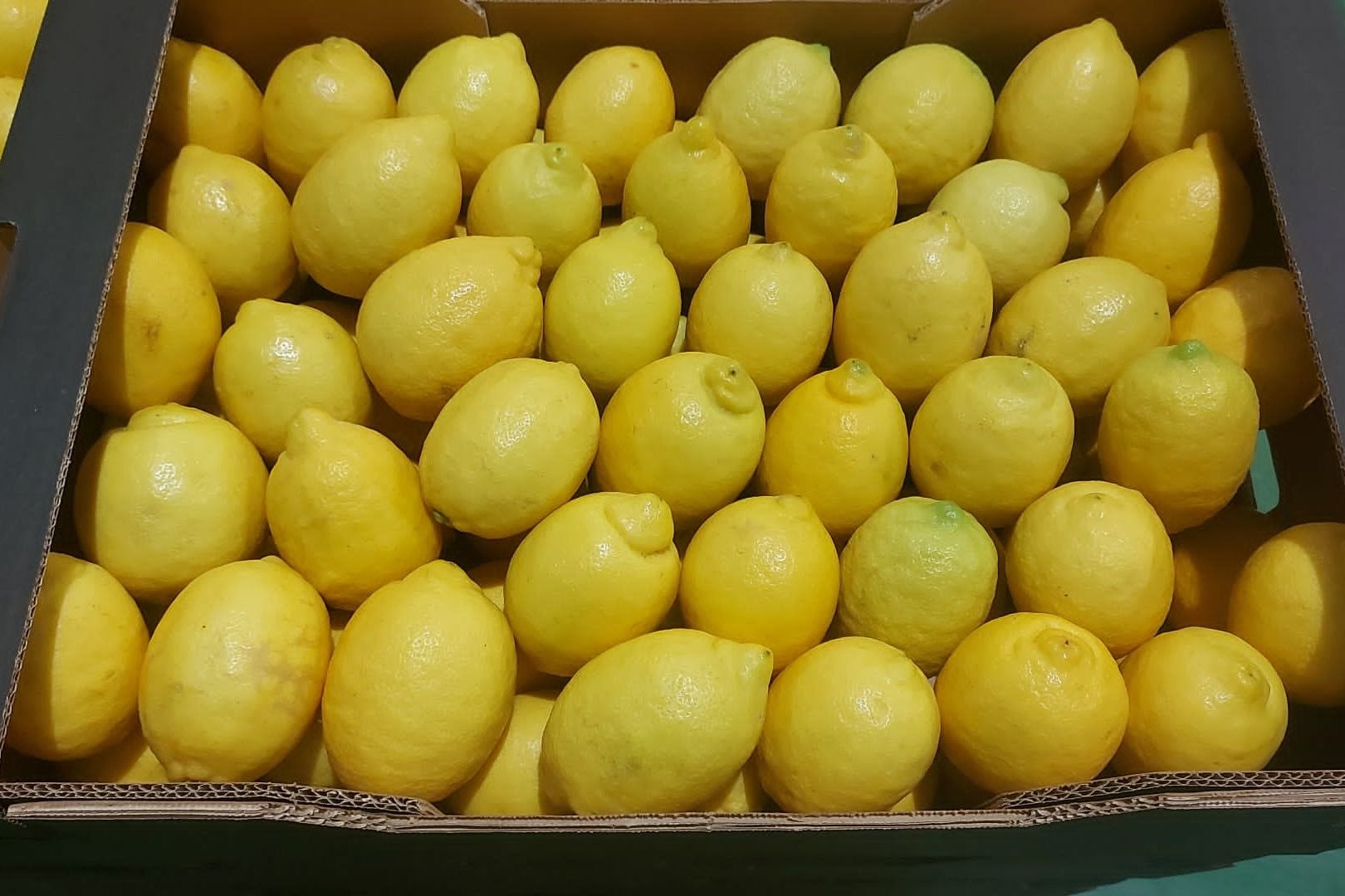 Lemon (x15Kg) Box - Jackie Leonards