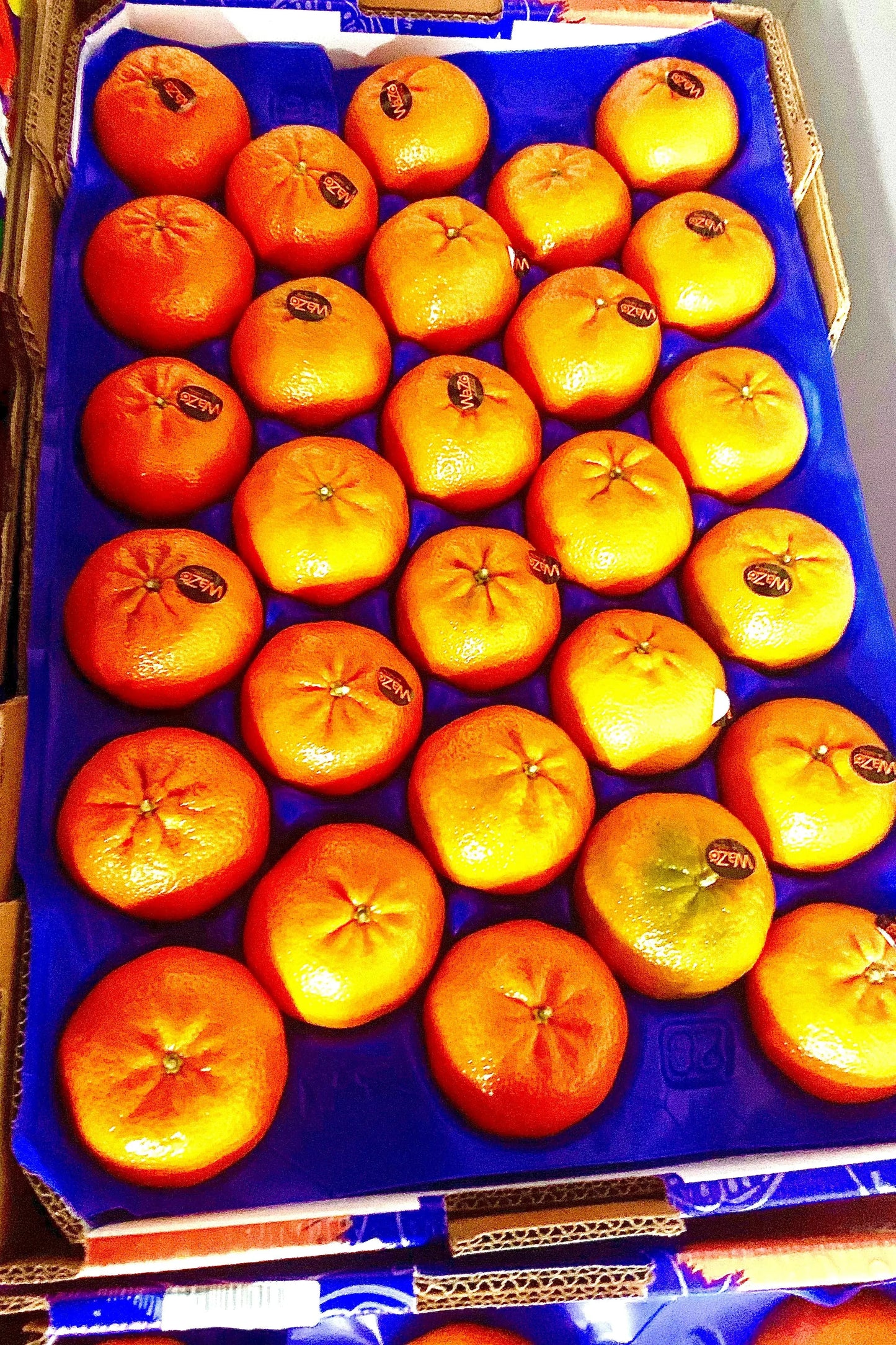 Mandarin Clementine Seedless Box - Jackie Leonards