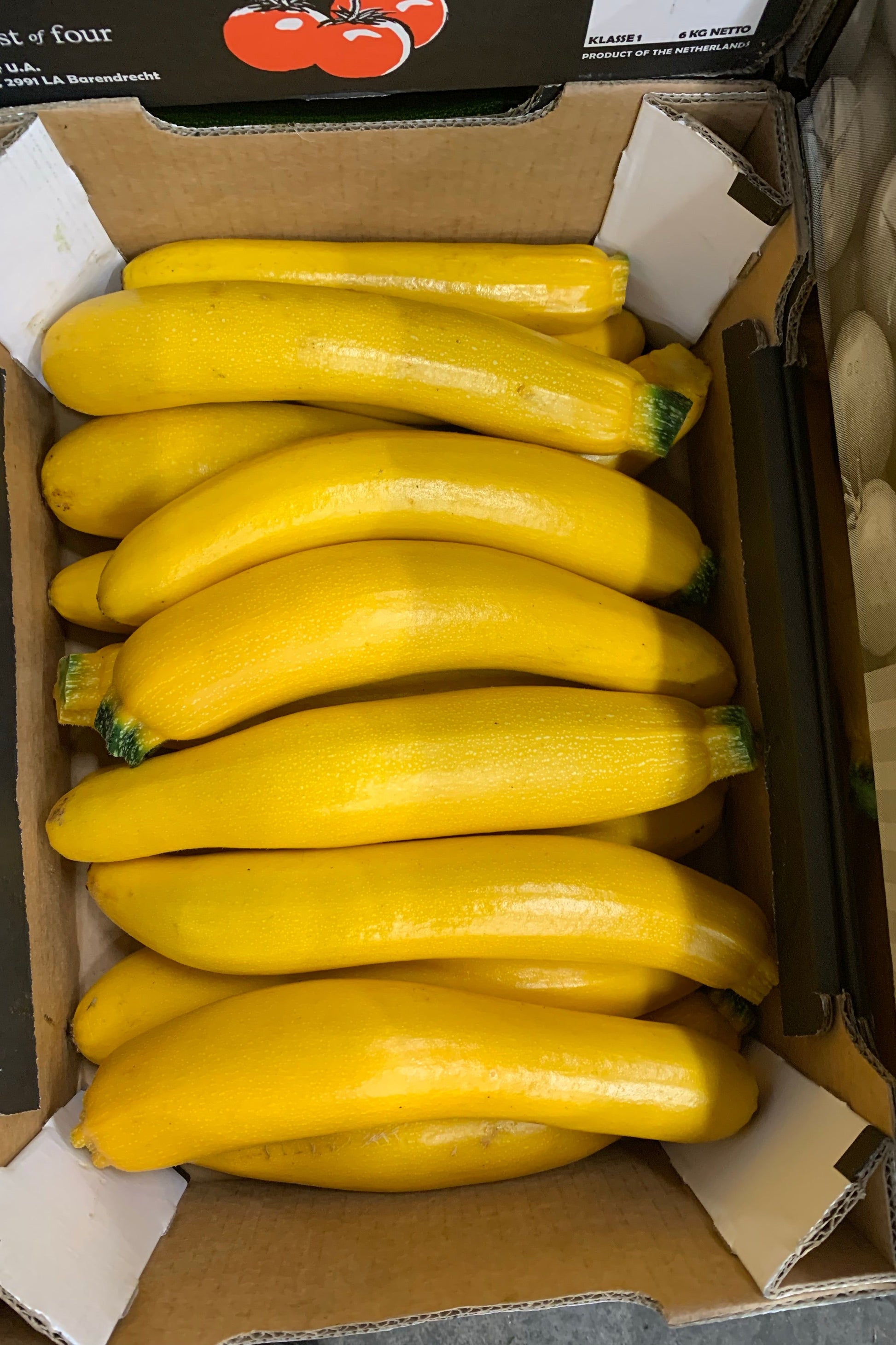Courgette Yellow x5kg Box - Jackie Leonards