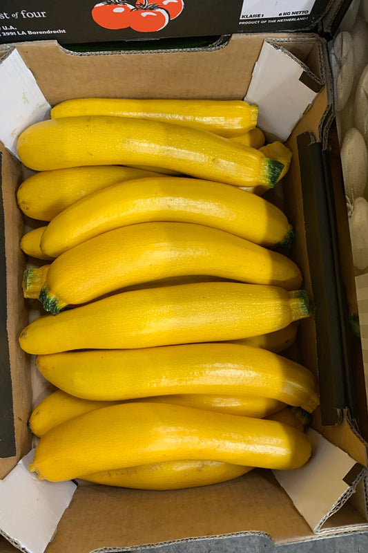 Courgette Yellow x5kg Box - Jackie Leonards