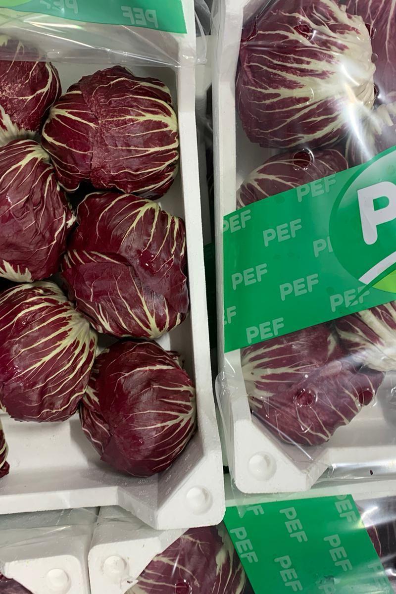 Lettuce Radicchio Box - Jackie Leonards
